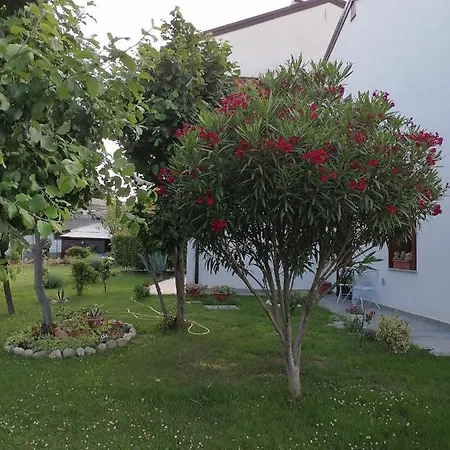 Casa Mi-re-la