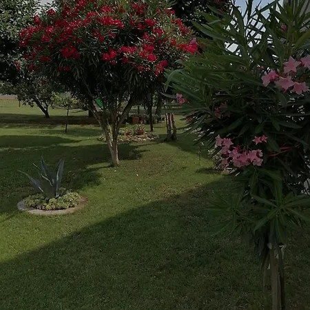 Casa Mi-re-la 아파트 *